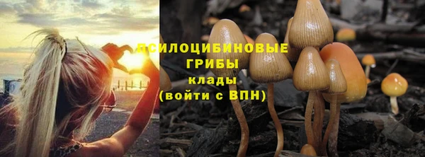 марки nbome Михайлов