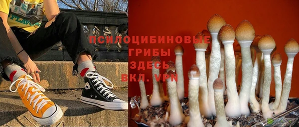 марки nbome Михайлов