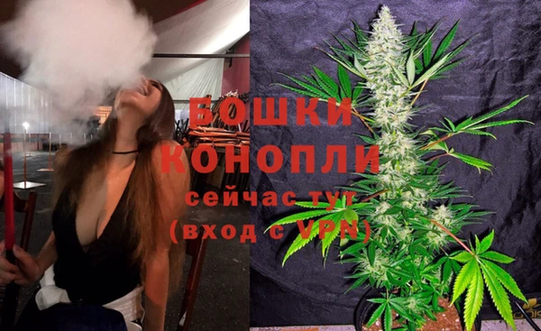 стаф Михайловск