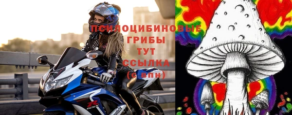 стаф Михайловск