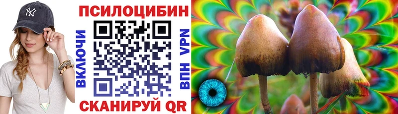 Купить закладки Чадан Галлюциногенные грибы Psilocybine cubensis